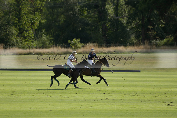 Pandas (white) v Home Farm (navy) in a Park House West Sussex Cup Polo match on Brooksfield at Cowdray Park Polo Club on Friday 30 August 2013. 2013.08.30 www.polopictures.co.uk