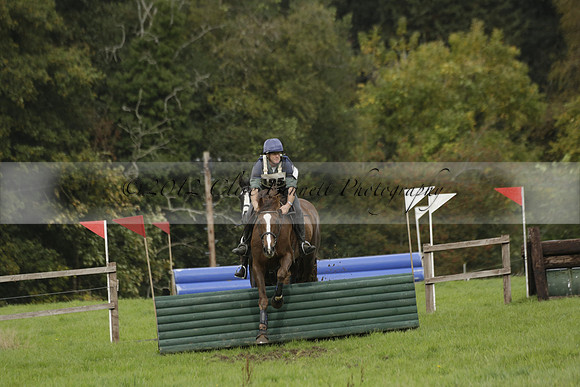 Chiddingfold, Leconfield and Cowdray Hunt, Hunter Trials at Iping on Sunday 20 October 2013. 2013.10.20 www.polopictures.co.uk