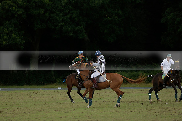 The Blue Jackets Cup polo match played between Maize Dulce (green) vs Home Farm (white) At the New Forest Polo Club on Sunday 18 August 2013