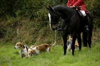 Devon & Somerset Stag Hounds meet at Liscombe on Saturday 12 October 2013 2013.10.12 www.polopictures.co.uk