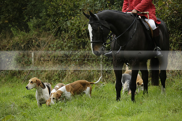 Devon & Somerset Stag Hounds meet at Liscombe on Saturday 12 October 2013 2013.10.12 www.polopictures.co.uk