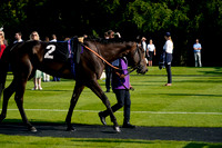 _CAB5656