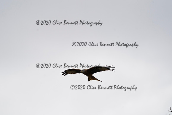 _CAB6760
