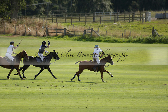 Pandas (white) v Home Farm (navy) in a Park House West Sussex Cup Polo match on Brooksfield at Cowdray Park Polo Club on Friday 30 August 2013. 2013.08.30 www.polopictures.co.uk
