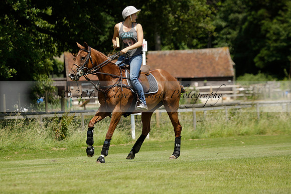 Maiz Dulce v Emlor in a Barrett Cup Polo match 2013.06.30