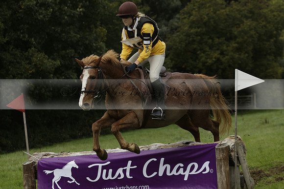 Chiddingfold, Leconfield and Cowdray Hunt, Hunter Trials at Iping on Sunday 20 October 2013. 2013.10.20 www.polopictures.co.uk