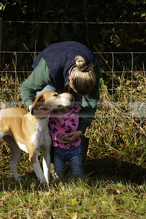 Devon & Somerset StagHounds meet at Five Cross Ways on Thursday 17 October 2013. 2013.10.17 www.polopictures.co.uk