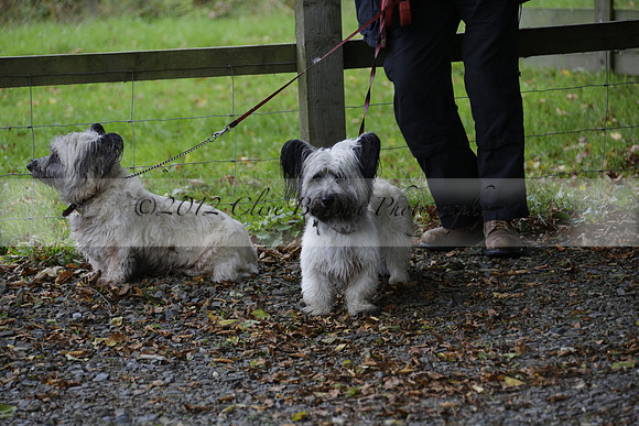 Devon & Somerset Stag Hounds meet at Liscombe on Saturday 12 October 2013 2013.10.12 www.polopictures.co.uk