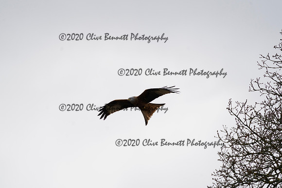 _CAB6758