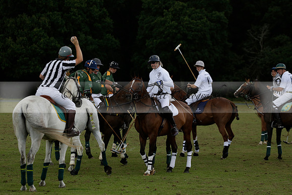 The Blue Jackets Cup polo match played between Maize Dulce (green) vs Home Farm (white) At the New Forest Polo Club on Sunday 18 August 2013