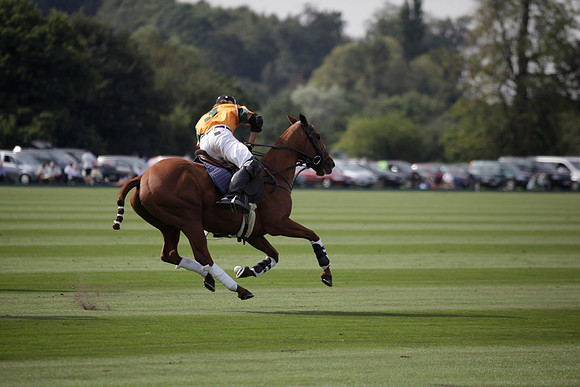 Montana v Maiz Dulce in the Uber 12 goal Final polo match played on Lawns 1 at Cowdray Park Polo Club on Sunday 26 August 2012