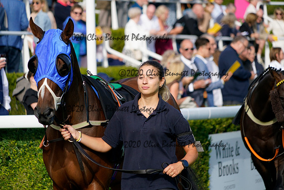 _CAB8536