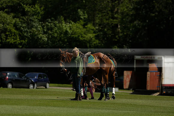 Maiz Dulce v Pluma Negra in a Jubilee 6 Goal Polo match 2013.05.27