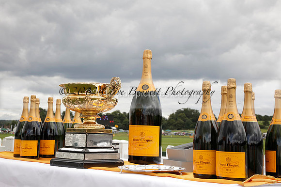 at the Veuve Clicquot Gold Cup Final Cowdray Park Polo Club on Sunday July 2012
