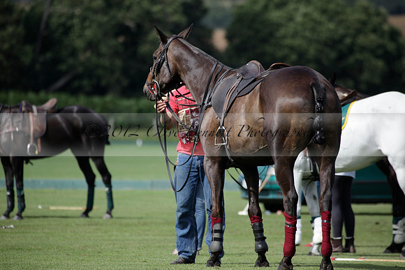 Maiz Dulce v Combe in a Brecknock Cup polo match played on Ambersham 2 at Cowdray Park Polo Club on Friday 17 August 2012