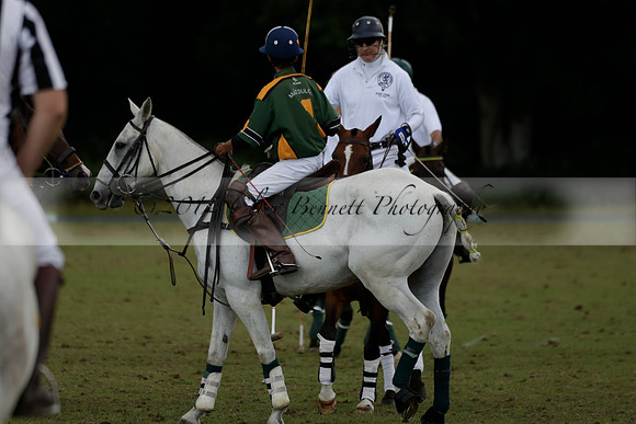 The Blue Jackets Cup polo match played between Maize Dulce (green) vs Home Farm (white) At the New Forest Polo Club on Sunday 18 August 2013