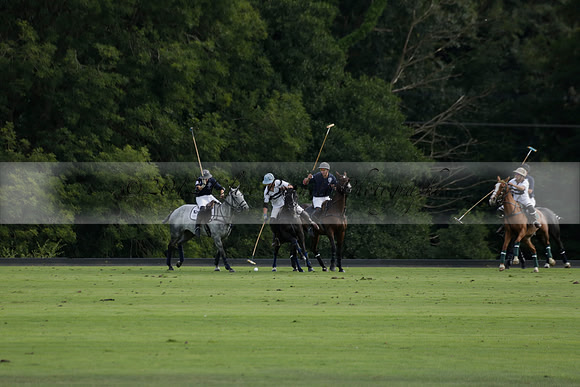 Pandas (white) v Home Farm (navy) in a Park House West Sussex Cup Polo match on Brooksfield at Cowdray Park Polo Club on Friday 30 August 2013. 2013.08.30 www.polopictures.co.uk
