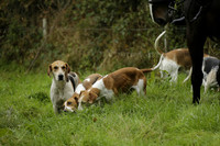 Devon & Somerset Stag Hounds meet at Liscombe on Saturday 12 October 2013 2013.10.12 www.polopictures.co.uk