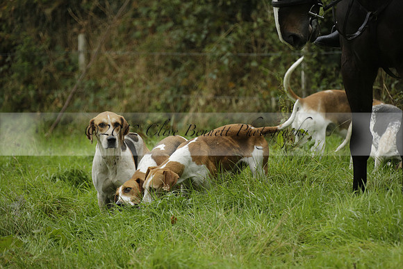 Devon & Somerset Stag Hounds meet at Liscombe on Saturday 12 October 2013 2013.10.12 www.polopictures.co.uk