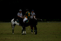 The Blue Jackets Cup polo match played between Maize Dulce (green) vs Home Farm (white) At the New Forest Polo Club on Sunday 18 August 2013
