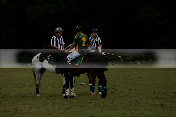 The Blue Jackets Cup polo match played between Maize Dulce (green) vs Home Farm (white) At the New Forest Polo Club on Sunday 18 August 2013