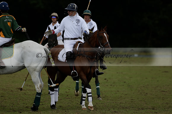The Blue Jackets Cup polo match played between Maize Dulce (green) vs Home Farm (white) At the New Forest Polo Club on Sunday 18 August 2013