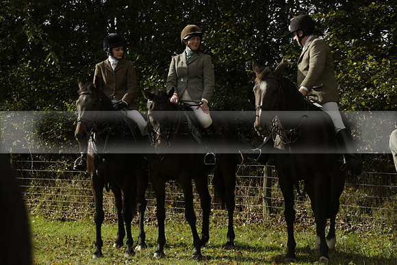 Devon & Somerset StagHounds meet at Five Cross Ways on Thursday 17 October 2013. 2013.10.17 www.polopictures.co.uk