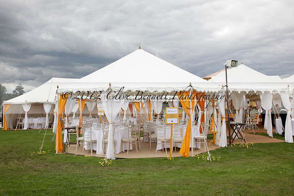 at the Veuve Clicquot Gold Cup Final Cowdray Park Polo Club on Sunday July 2012