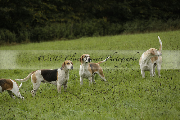 Devon & Somerset Stag Hounds meet at Hillhead Cross on Monday 14 October 2013. 2013.10.14 www.polopictures.co.uk