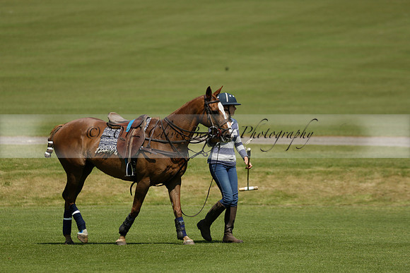 Maiz Dulce v Pluma Negra in a Jubilee 6 Goal Polo match 2013.05.27
