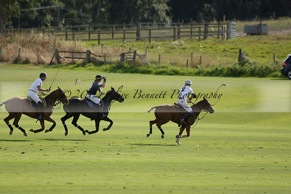 Pandas (white) v Home Farm (navy) in a Park House West Sussex Cup Polo match on Brooksfield at Cowdray Park Polo Club on Friday 30 August 2013. 2013.08.30 www.polopictures.co.uk