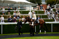Race 6 The Harwood Group Fillies Stakes 2016.08.28
