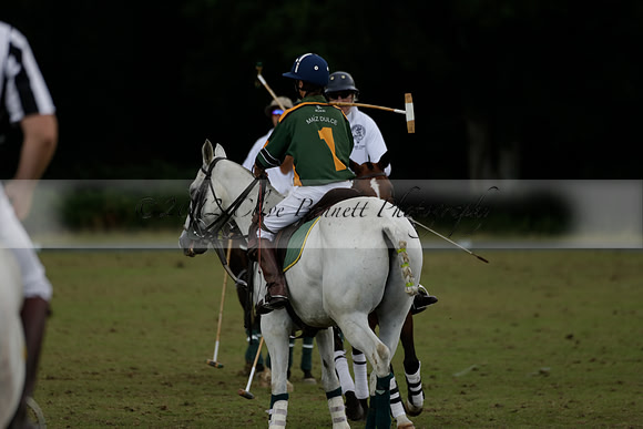 The Blue Jackets Cup polo match played between Maize Dulce (green) vs Home Farm (white) At the New Forest Polo Club on Sunday 18 August 2013
