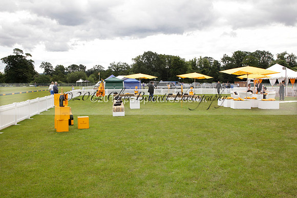 at the Veuve Clicquot Gold Cup Final Cowdray Park Polo Club on Sunday July 2012