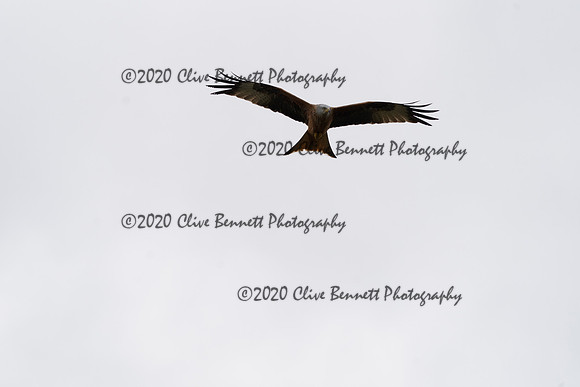 _CAB6772