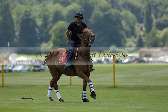 Maiz Dulce v Emlor in a Barrett Cup Polo match 2013.06.30