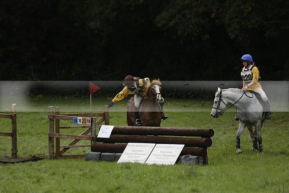 Chiddingfold, Leconfield and Cowdray Hunt, Hunter Trials at Iping on Sunday 20 October 2013. 2013.10.20 www.polopictures.co.uk
