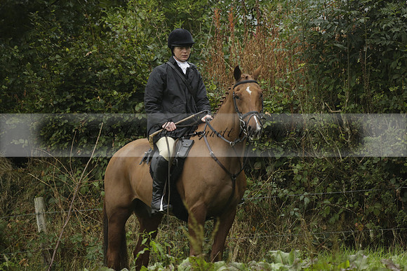 Devon & Somerset Stag Hounds meet at Liscombe on Saturday 12 October 2013 2013.10.12 www.polopictures.co.uk