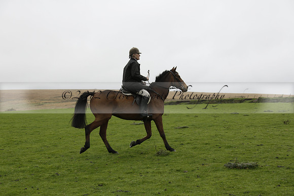 Devon & Somerset Staghounds meet at Larkbarrow Corner. North Devon. 2013.10.18 www.polopictures.co.uk