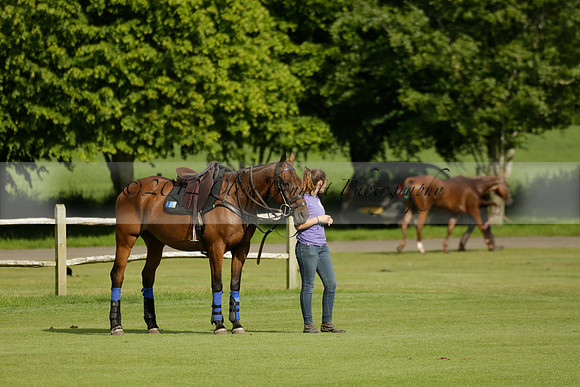 Maiz Dulce v Ghost Chilli in the Easebourne Cup final Polo match 2013.06.09