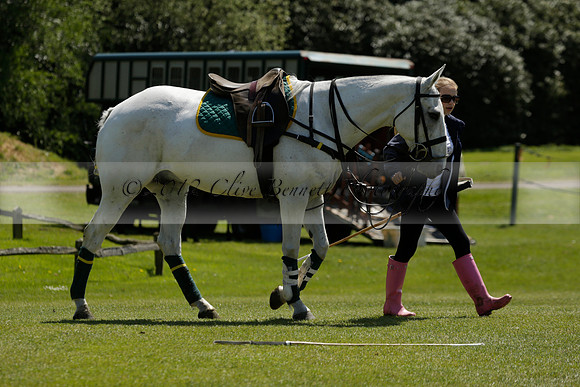 Maiz Dulce v Pluma Negra in a Jubilee 6 Goal Polo match 2013.05.27