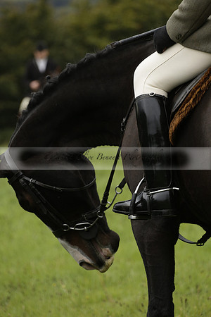 Devon & Somerset Stag Hounds meet at Hillhead Cross on Monday 14 October 2013. 2013.10.14 www.polopictures.co.uk