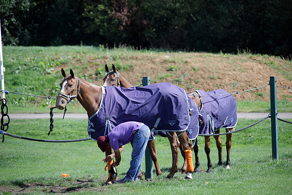 Montana v Maiz Dulce in the Uber 12 goal Final polo match played on Lawns 1 at Cowdray Park Polo Club on Sunday 26 August 2012