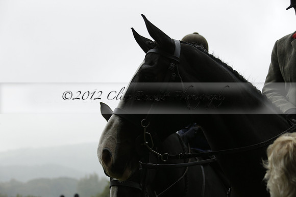 Devon & Somerset Stag Hounds meet at Liscombe on Saturday 12 October 2013 2013.10.12 www.polopictures.co.uk