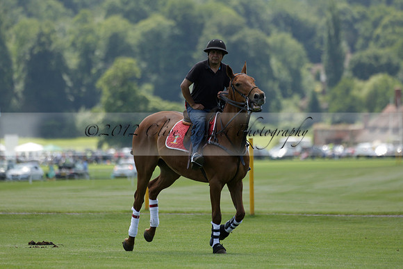 Maiz Dulce v Emlor in a Barrett Cup Polo match 2013.06.30
