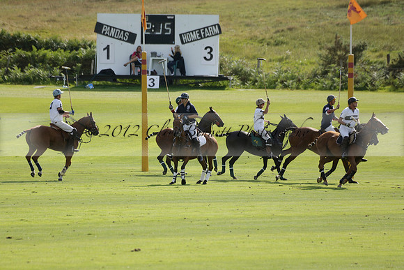 Pandas (white) v Home Farm (navy) in a Park House West Sussex Cup Polo match on Brooksfield at Cowdray Park Polo Club on Friday 30 August 2013. 2013.08.30 www.polopictures.co.uk