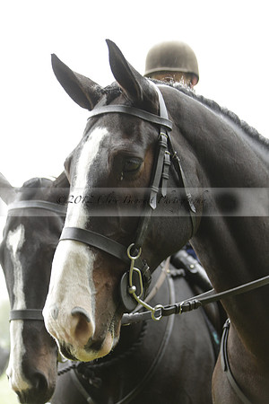 Devon & Somerset Stag Hounds meet at Liscombe on Saturday 12 October 2013 2013.10.12 www.polopictures.co.uk