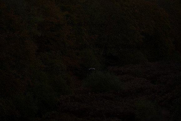 _CAB3028