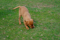 _CAB5236