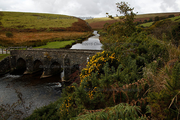_CB_9950
